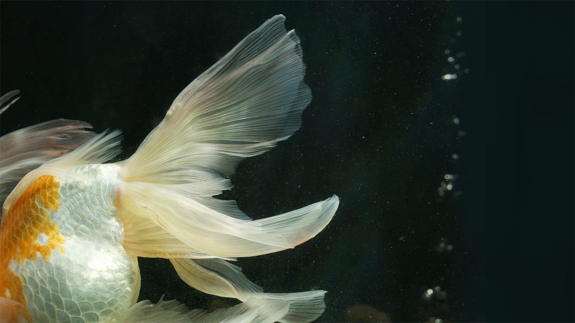 风景壁纸_木鱼小栈壁纸