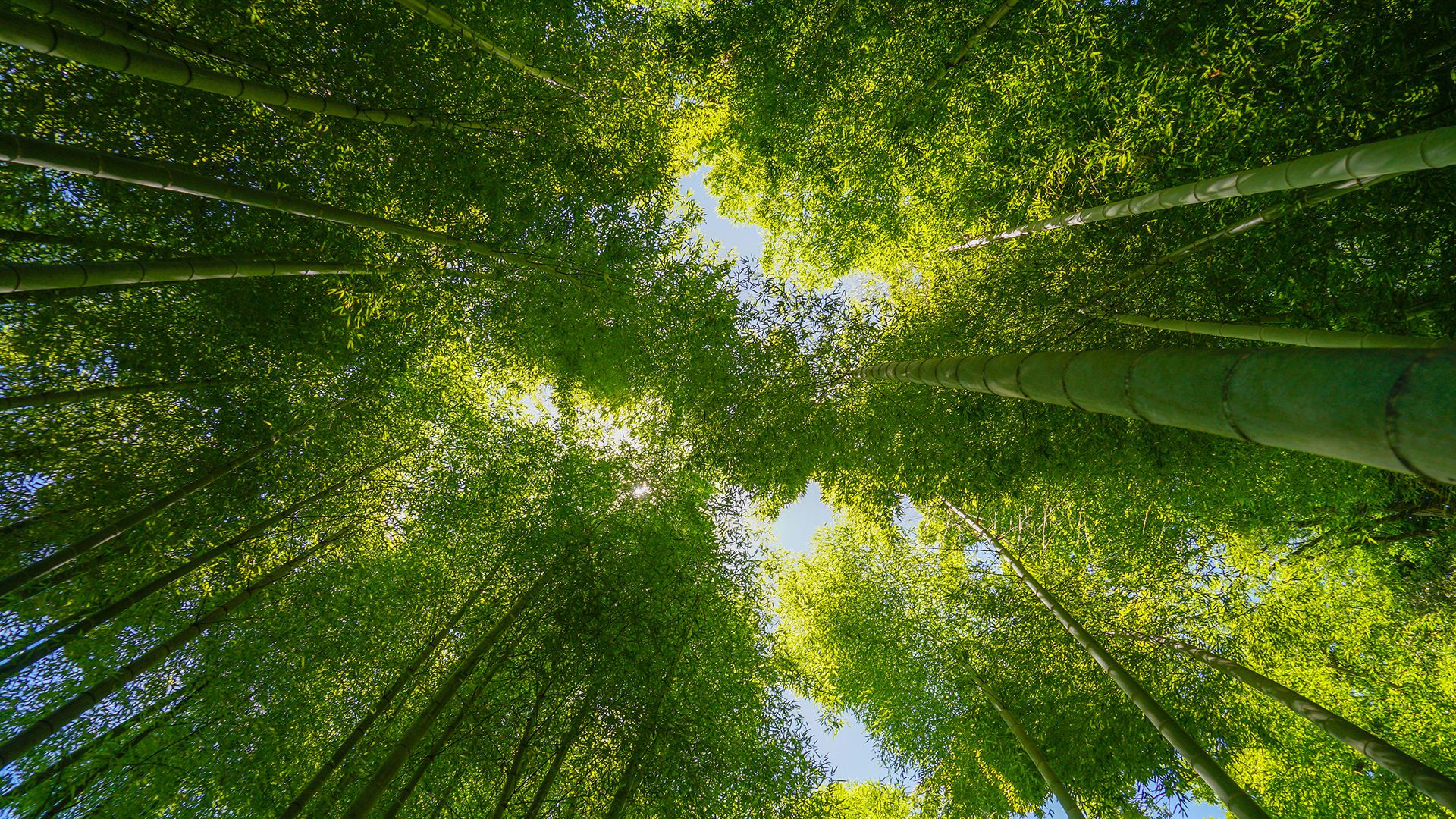 风景壁纸_木鱼小栈壁纸