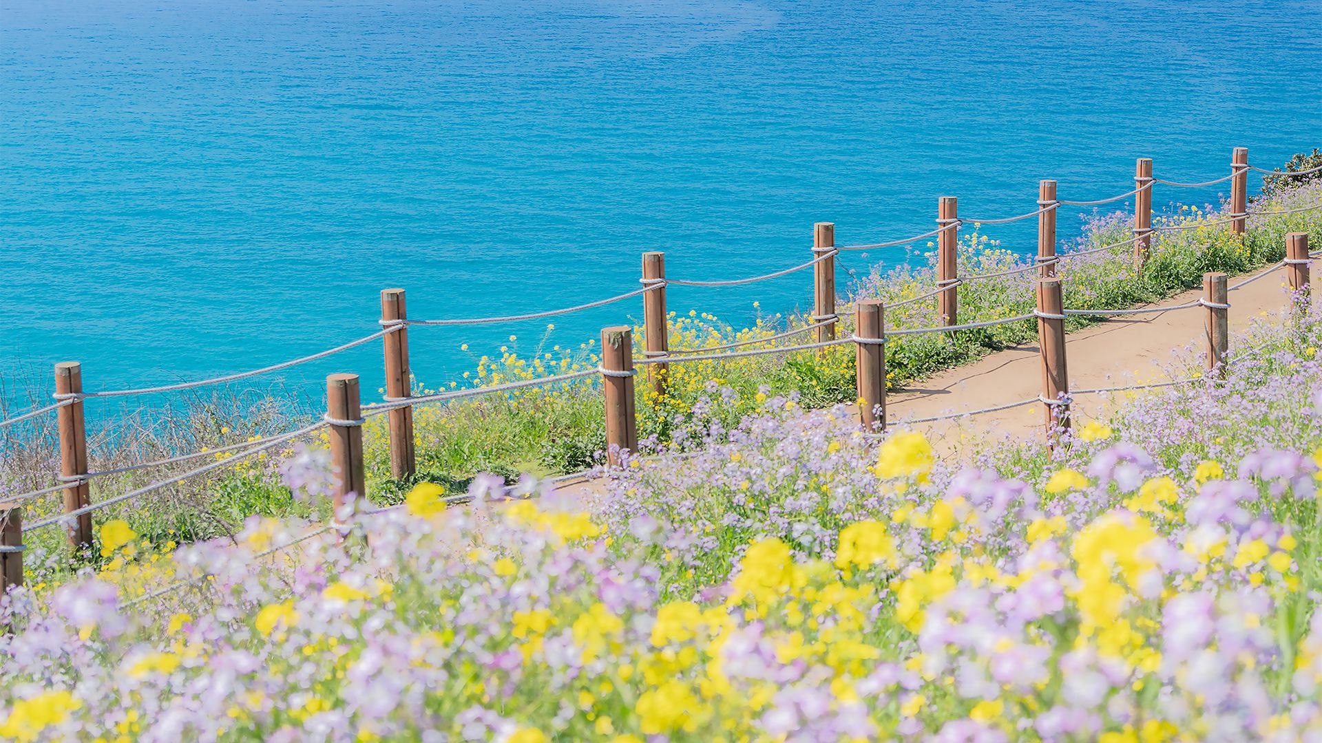风景壁纸_木鱼小栈壁纸