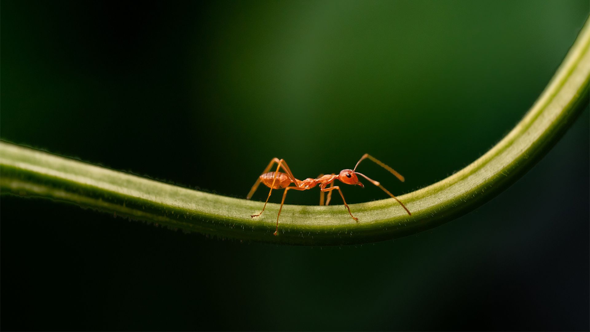 风景壁纸_木鱼小栈壁纸
