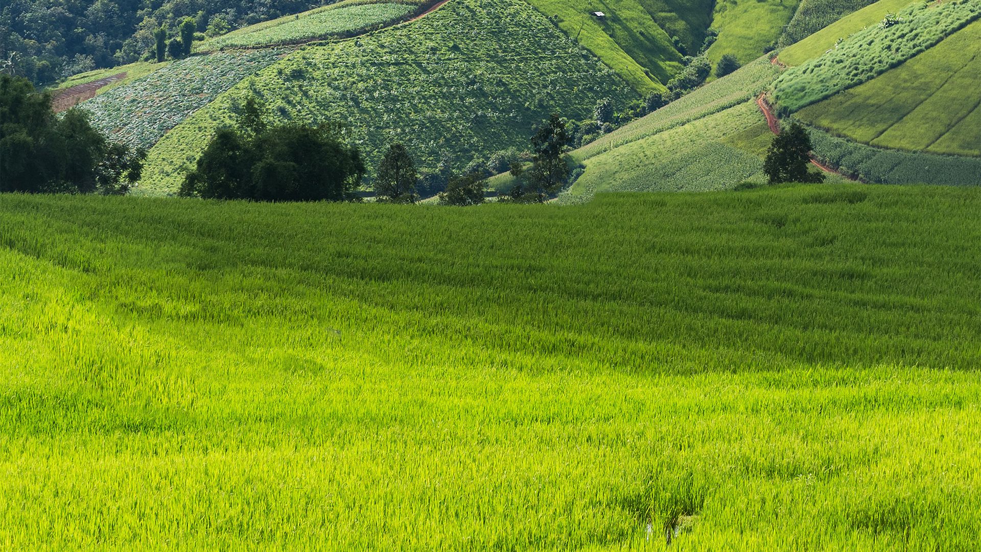 风景壁纸_木鱼小栈壁纸