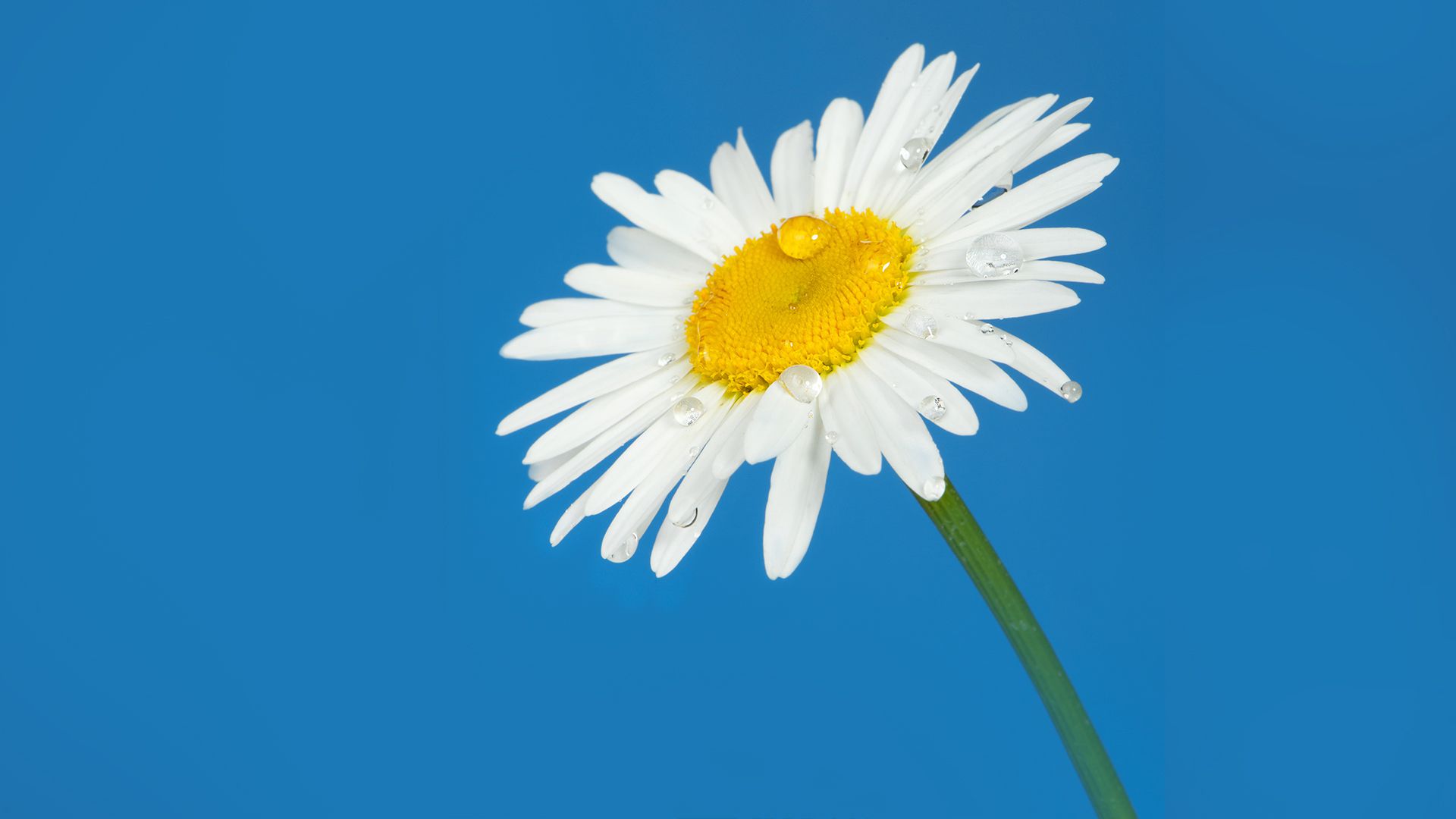 风景壁纸_木鱼小栈壁纸