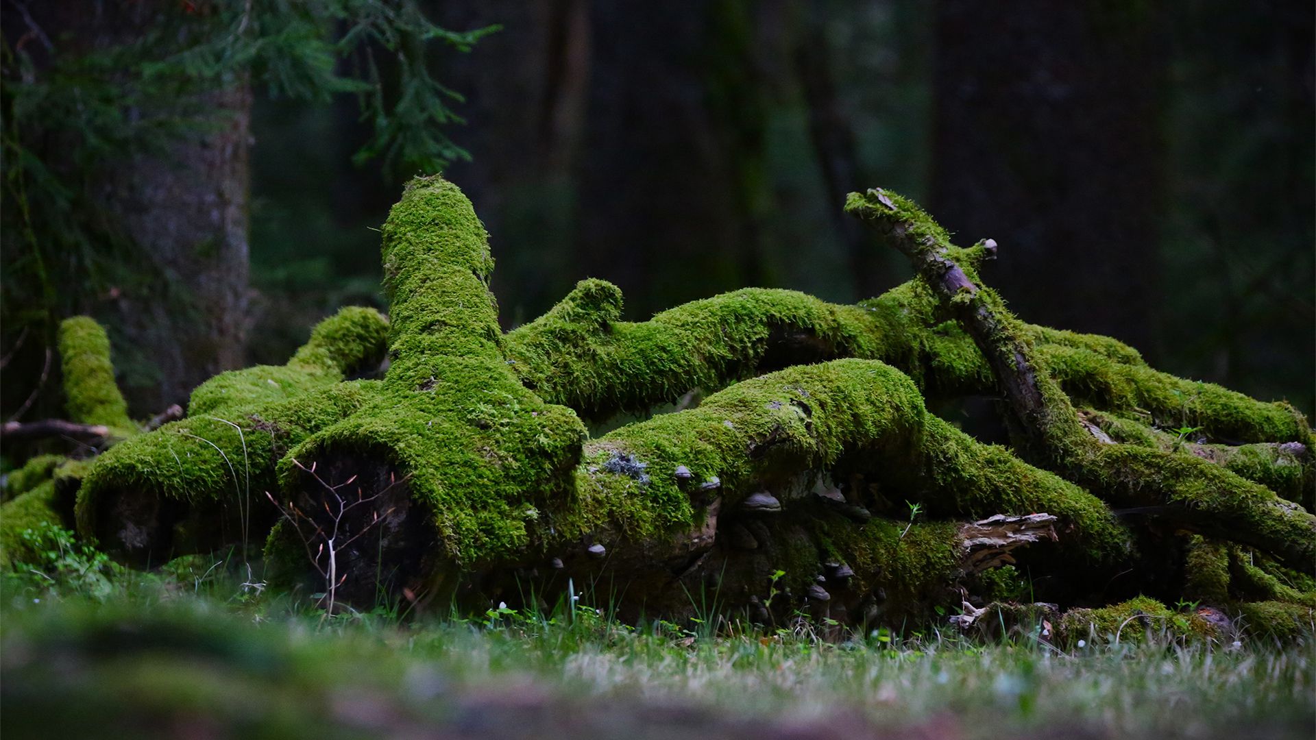 风景壁纸_木鱼小栈壁纸