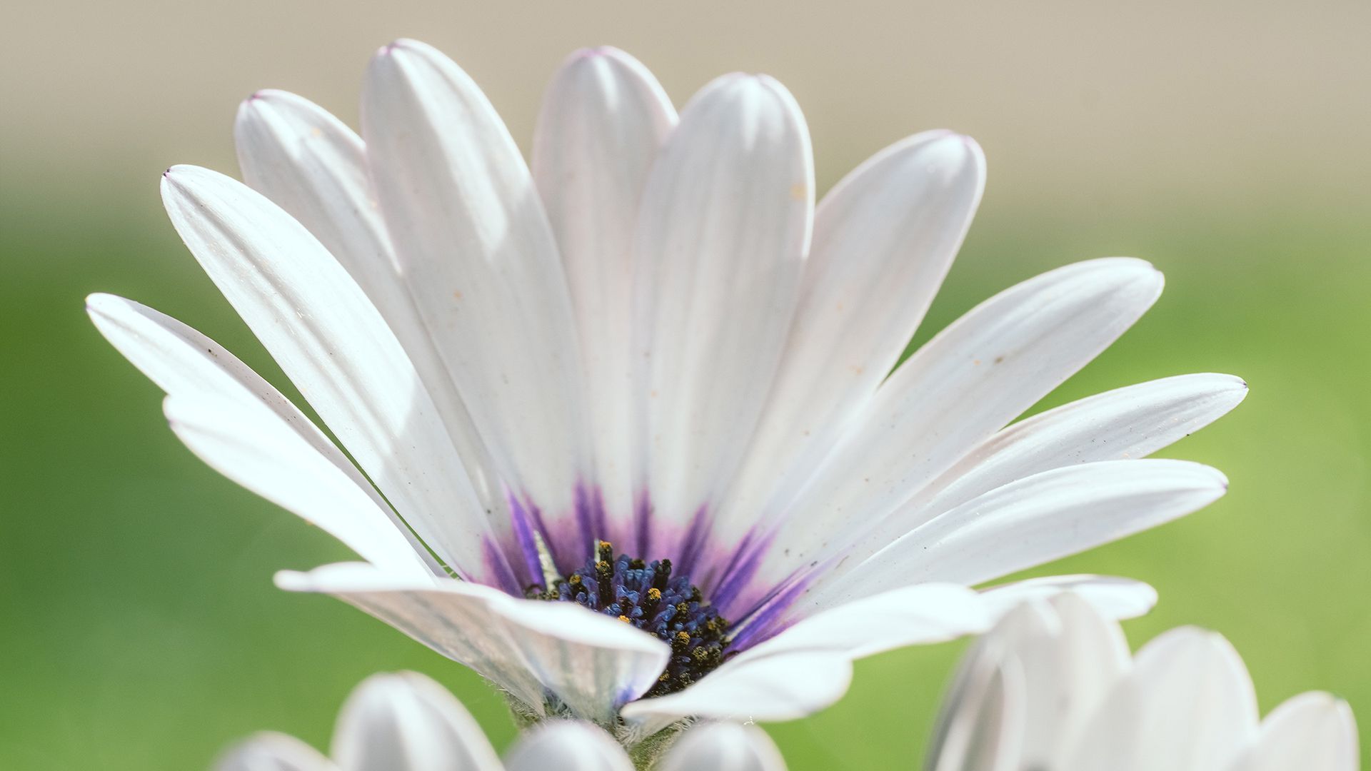 风景壁纸_木鱼小栈壁纸