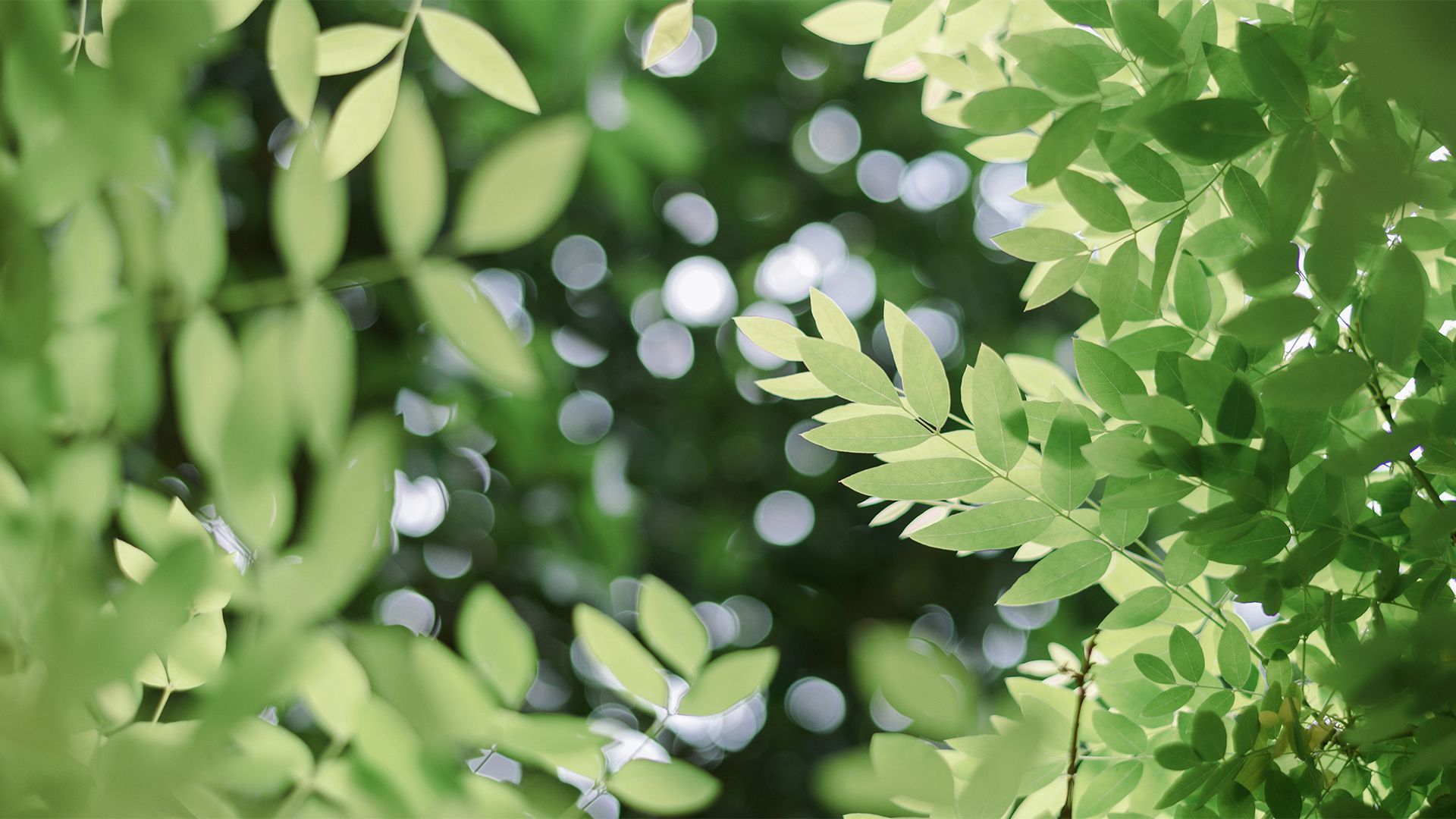 风景壁纸_木鱼小栈壁纸