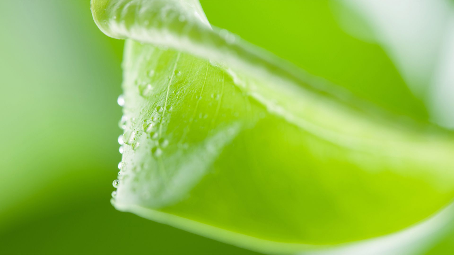 风景壁纸_木鱼小栈壁纸