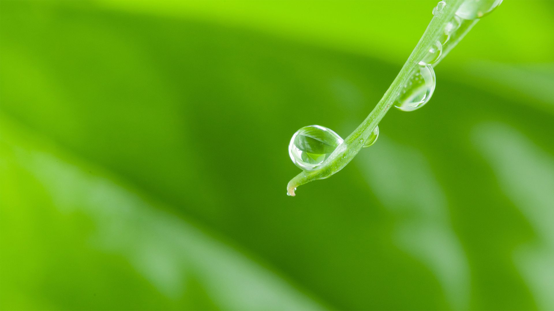 风景壁纸_木鱼小栈壁纸