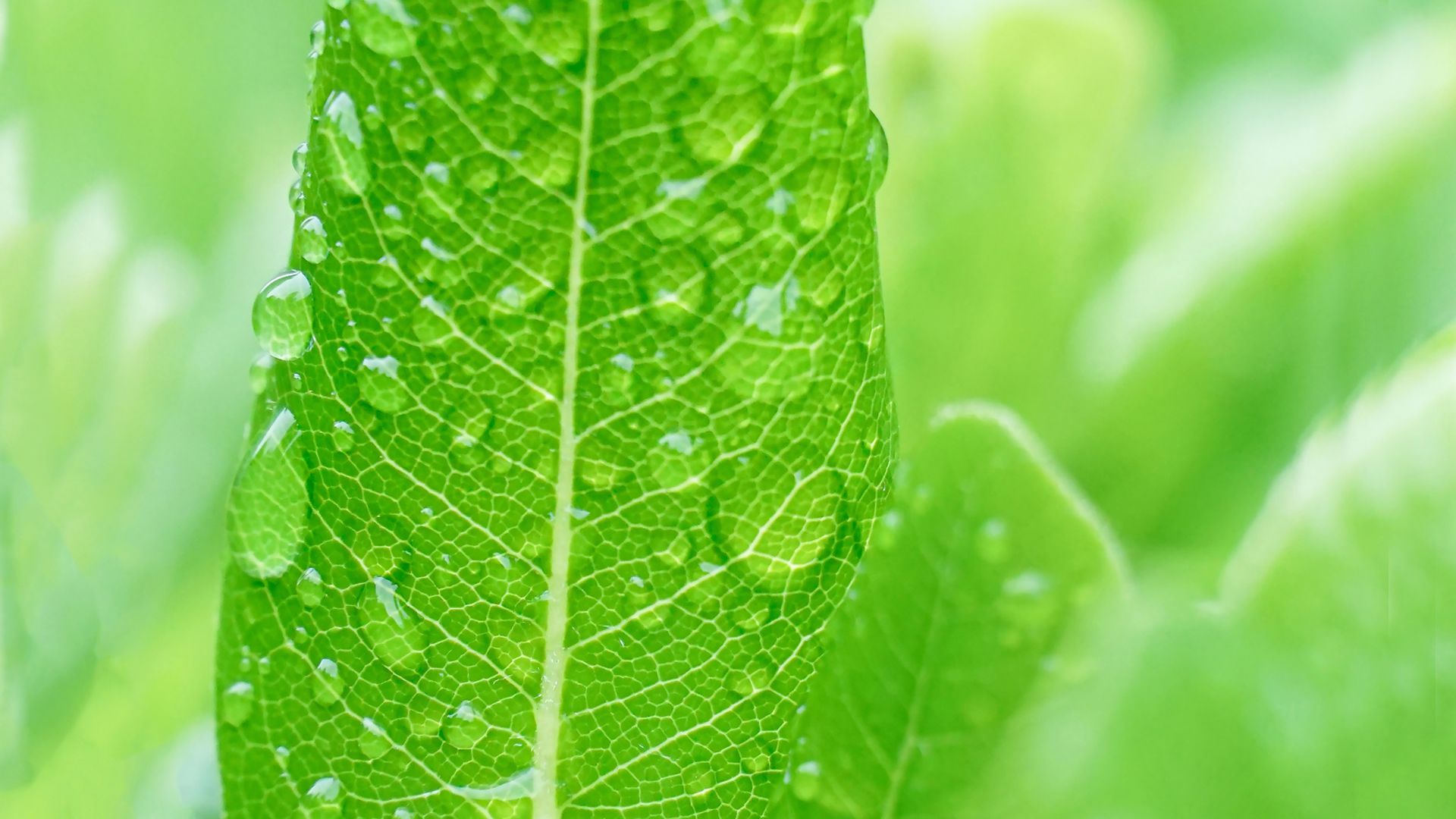 风景壁纸_木鱼小栈壁纸