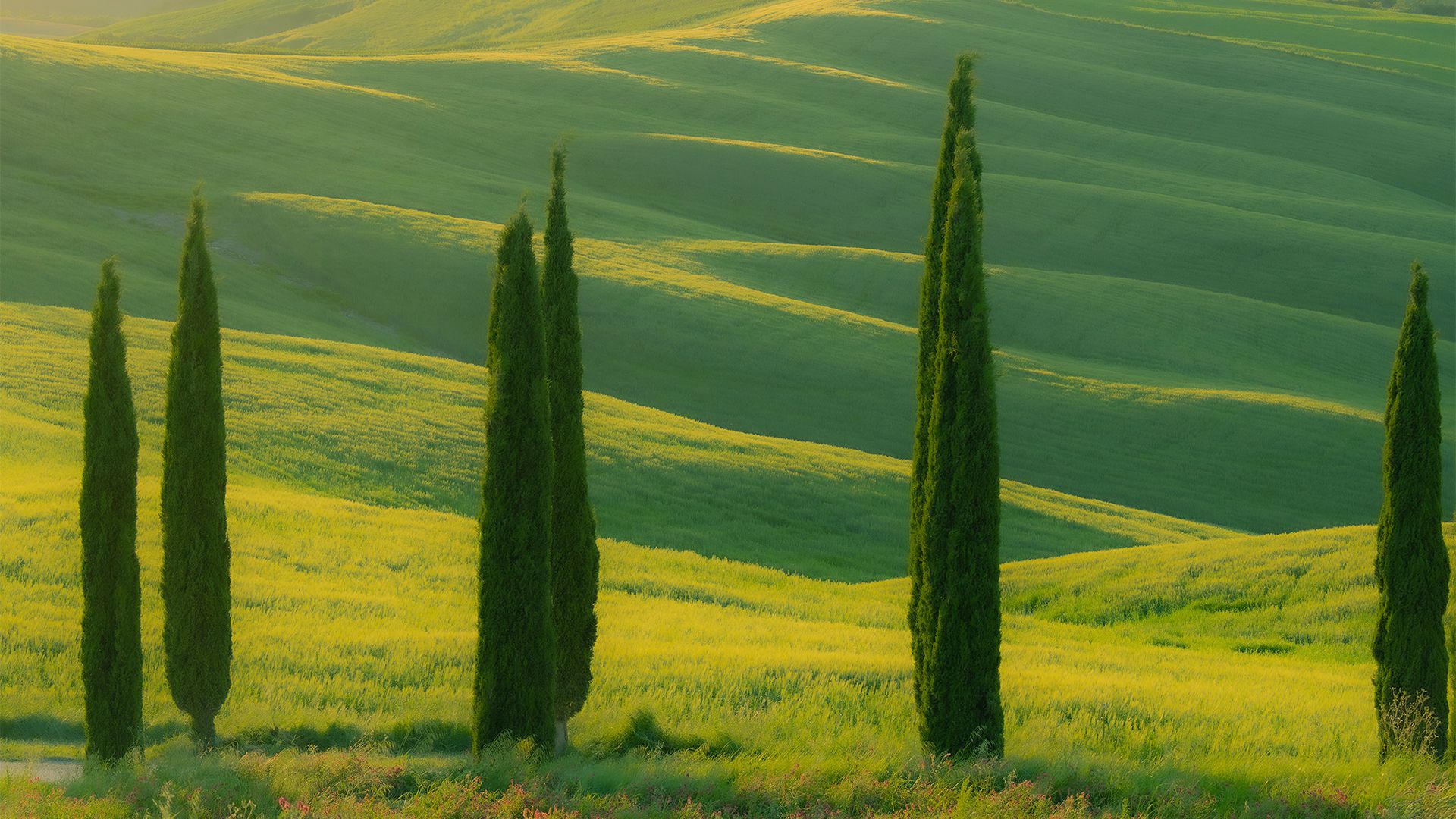 风景壁纸_木鱼小栈壁纸