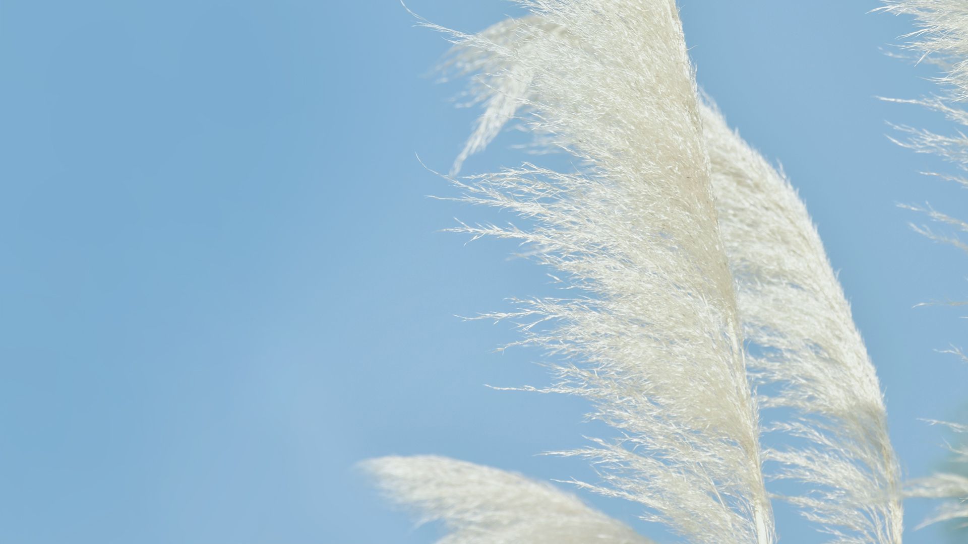 风景壁纸_木鱼小栈壁纸