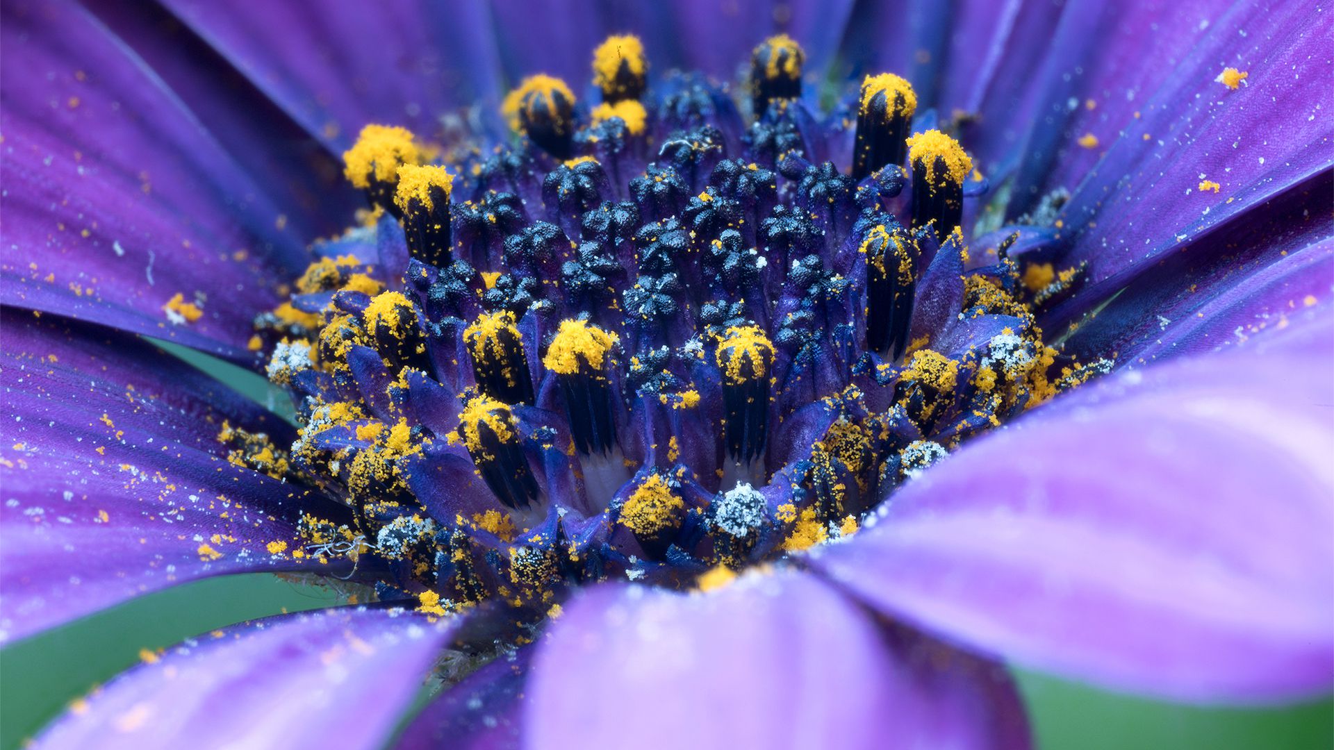 风景壁纸_木鱼小栈壁纸