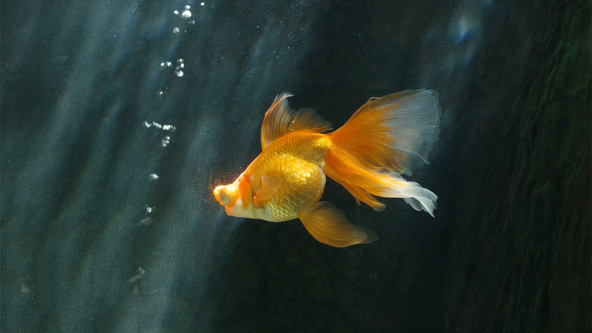 风景壁纸_木鱼小栈壁纸