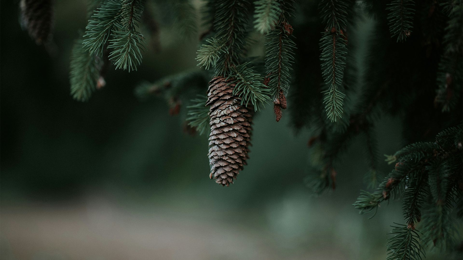 风景壁纸_木鱼小栈壁纸